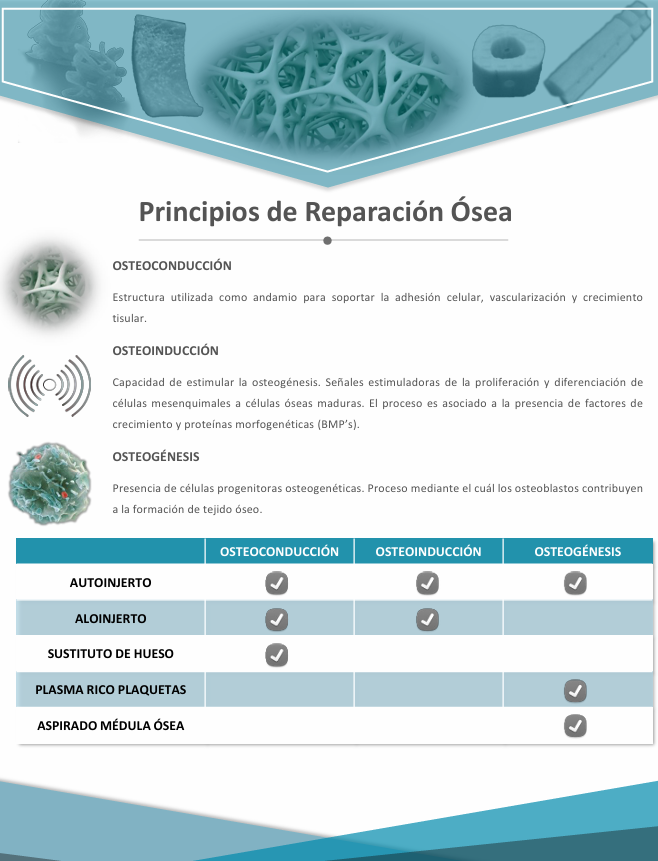 Catálogo de injertos óseos